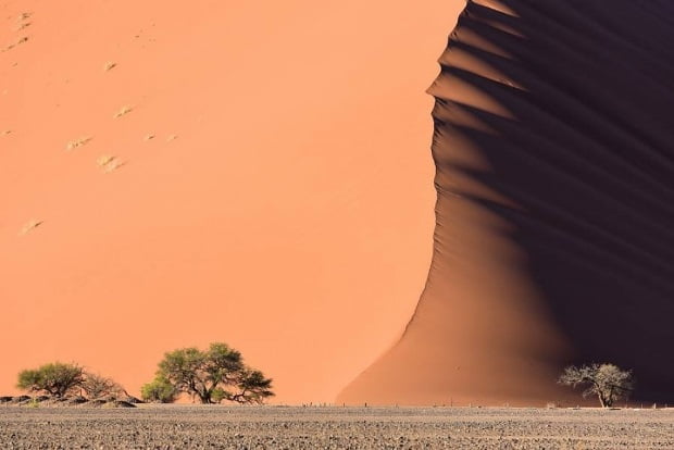 Poze frumoase - Desertul Namib