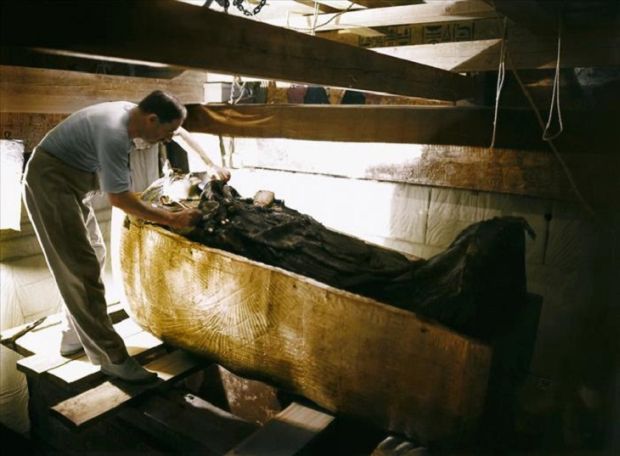 Tutankhamon Studiu sarcofag