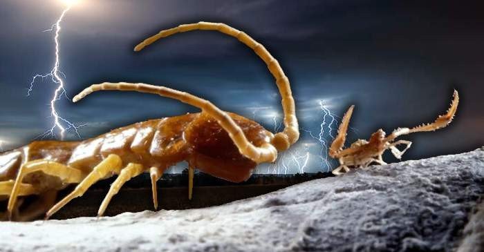 7 locuri neobișnuite care par să sfideze logica (unul este în România)