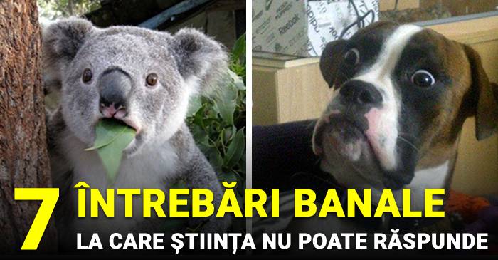 7 întrebări aparent banale la care oamenii de știință nu știu să răspundă FACEBOOK_compressed