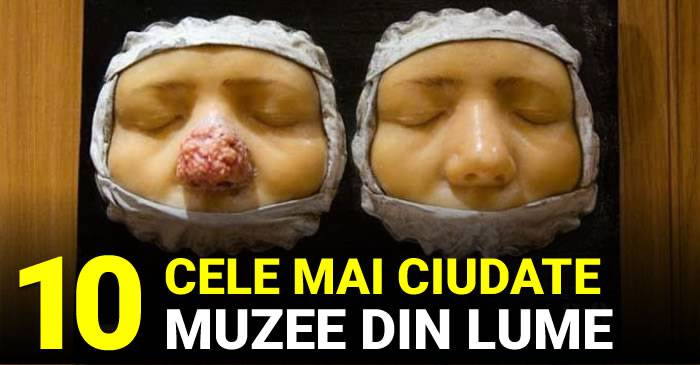 cele mai ciudate muzee din lume featured_compressed