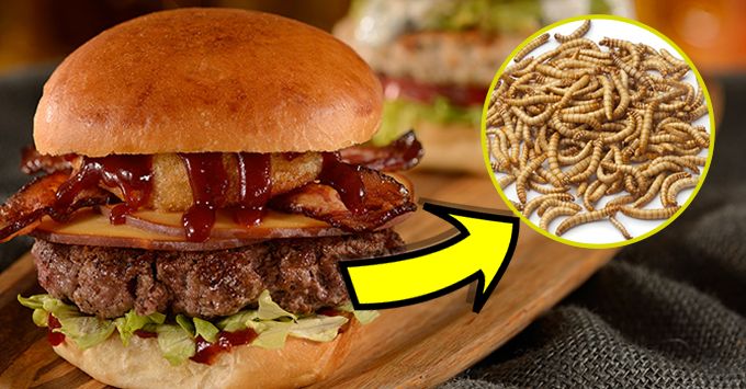 Mancaruri ciudate - Burgeri cu insecte
