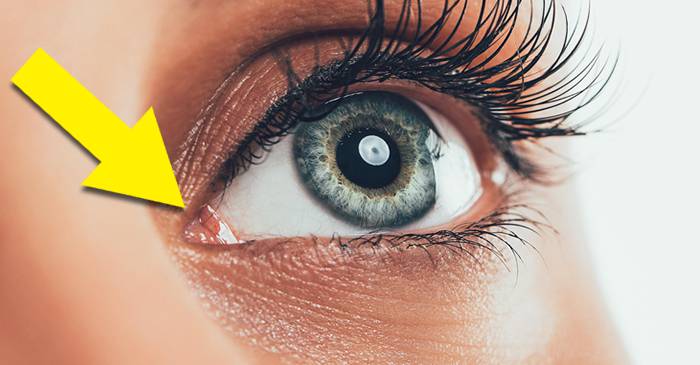 5 trasaturi bizare pe care oamenii le mostenesc - Copy