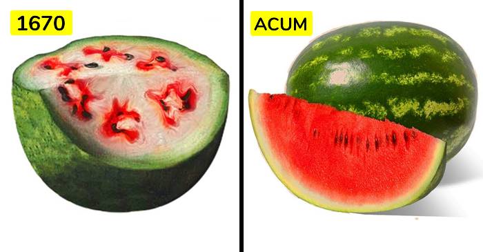 Cum arătau fructele și legumele noastre înainte de a fi modificate genetic FEATURED_compressed