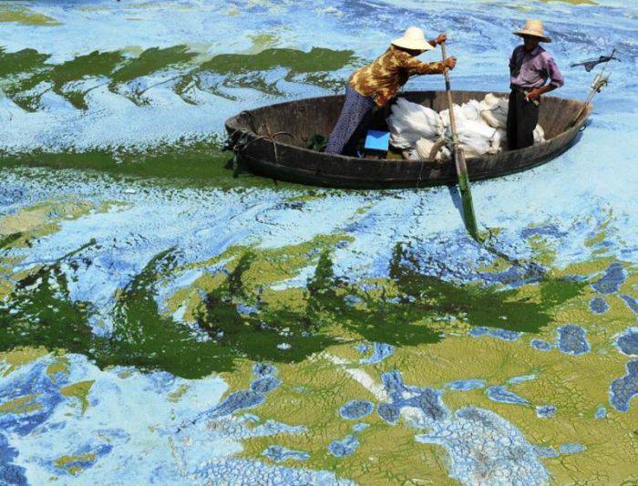 poluarea în china