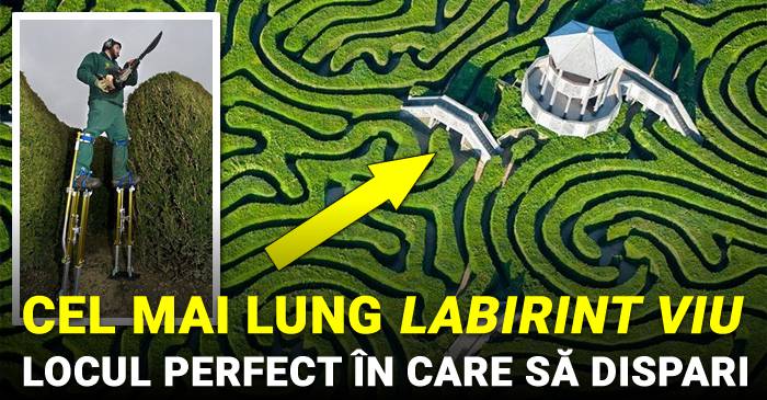 Cel mai lung labirint viu din lume – Locul ideal în care să dispari câteva ore_compressed