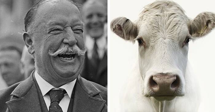 Pauline Wayne, vaca de la Casa Albă și cel mai gras președinte american featured_compressed
