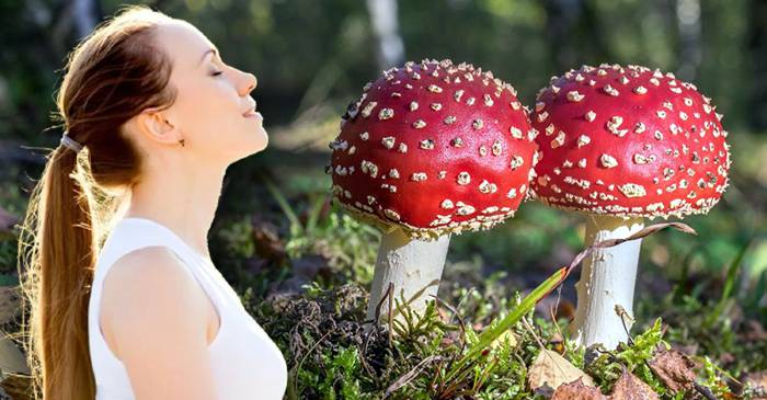7 lucruri cu adevărat curioase despre lumea în care trăim