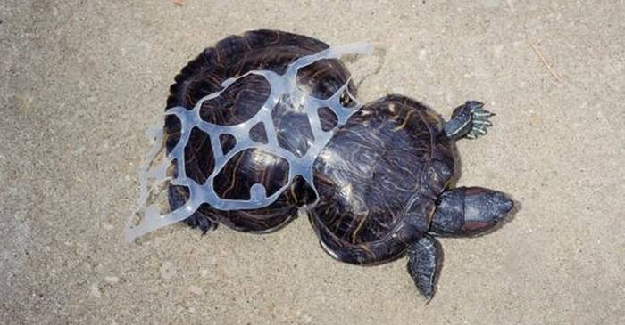 Sufocați de plastic - 10 imagini dureroase ale poluării din apele lumii featured_compressed