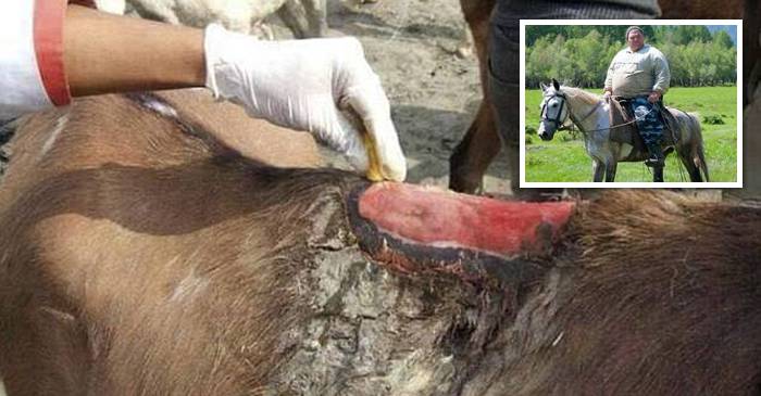 Turiștii obezi rup spinările măgarilor din Insula Santorini FEATURED_compressed