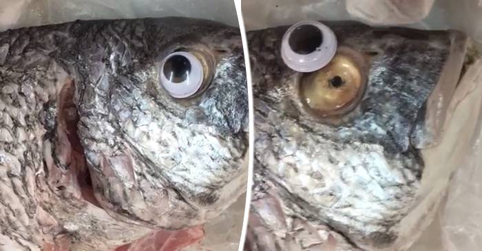 VIDEO Afacerea miroase dubios Pește vechi, „împrospătat” cu ochi de plastic featured_compressed