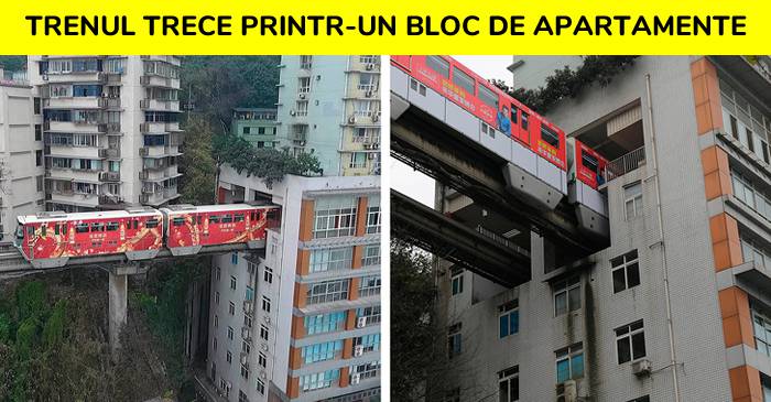 7 lucruri ieșite din comun, dar considerate normale în alte țări FEATURED.fw_compressed