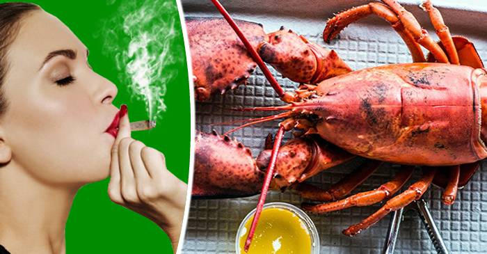 Un restaurant tratează homarii cu fum de canabis înainte de a-i fierbe FEATURED.fw_compressed