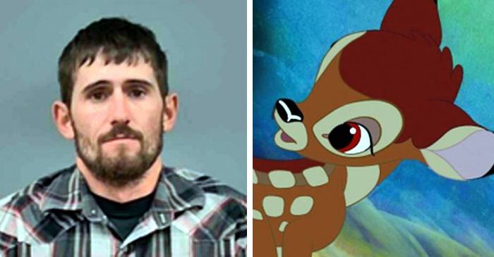 Un braconier a fost condamnat să vizioneze „Bambi” cât timp stă în închisoare featured_compressed