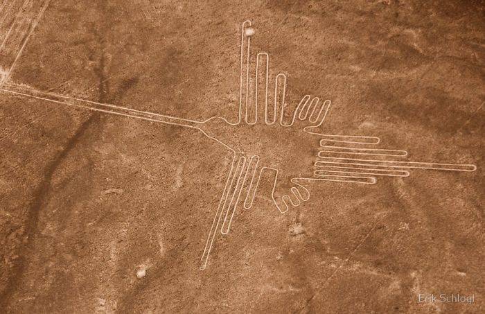 Liniile Nazca