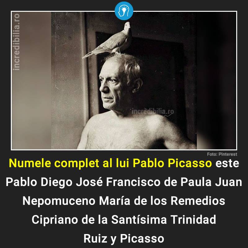 51. Pablo Picasso_compressed