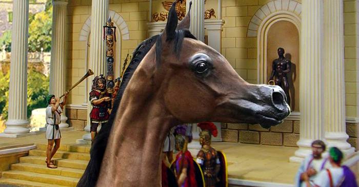 Incitatus, calul pregătit să devină consul