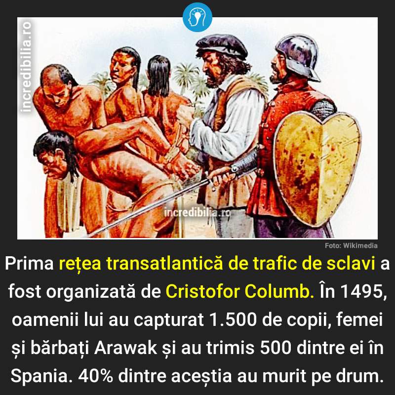 244. sclavii lui cristofor columb_compressed