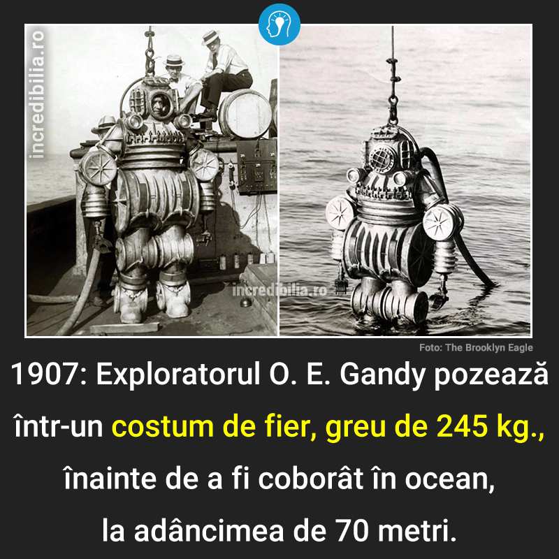305. exploratorul o e gandy