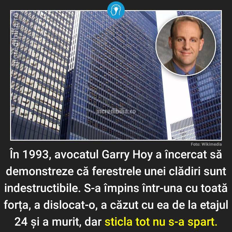 311. avicatul garry