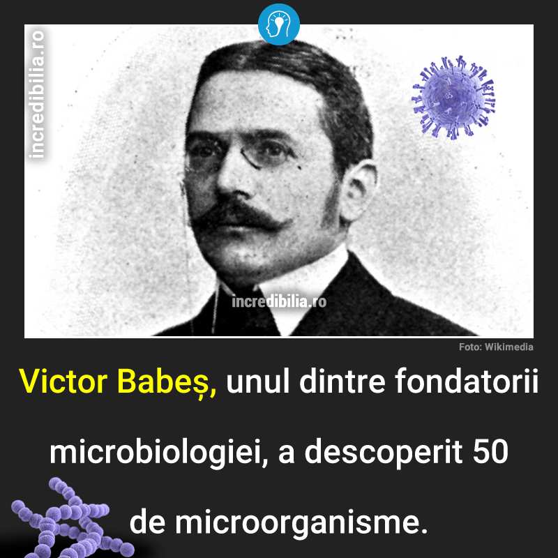 363. victor babes