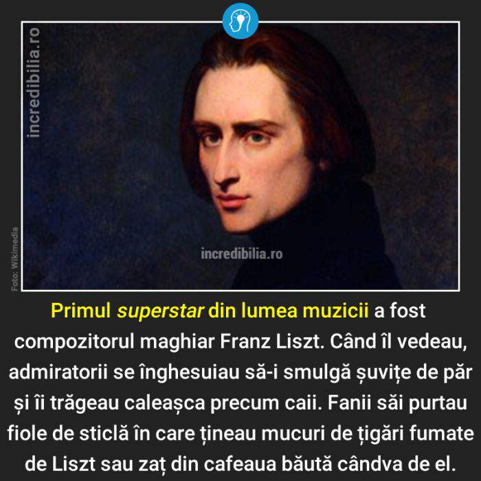 409. franz liszt_9_red