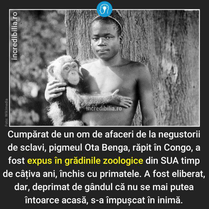 464. Ota Benga_64_red