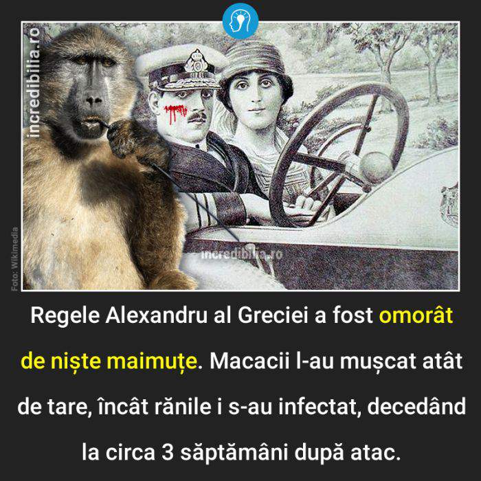 471. regele omorat de maimute_71_red