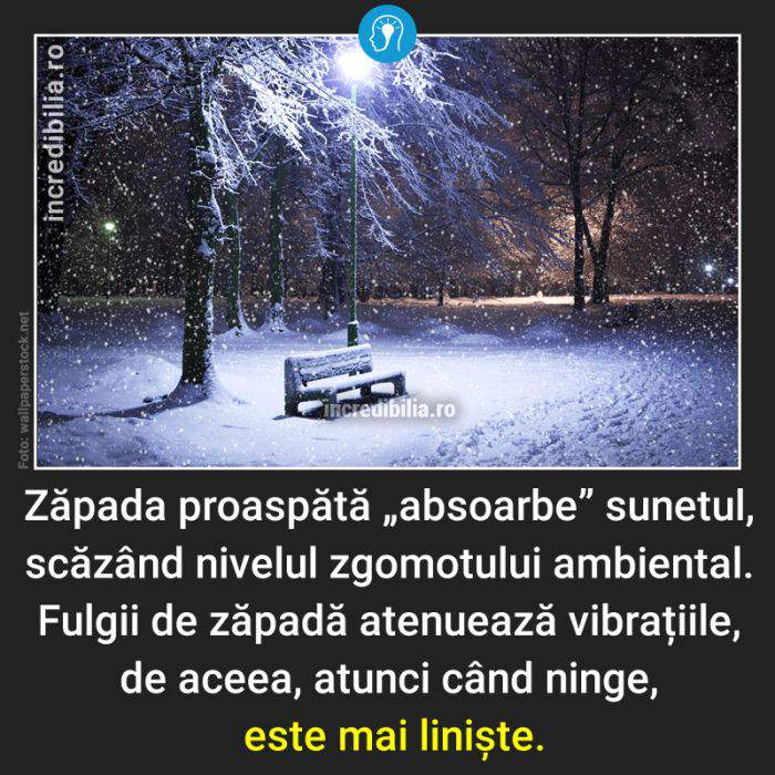 484. liniste cand ninge_84_red