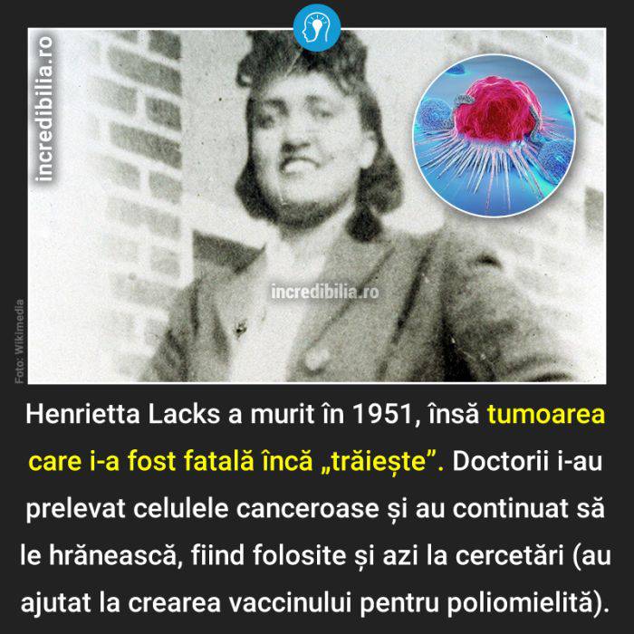 524. henrietta lacks_23_red_compressed