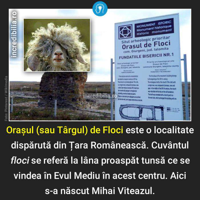 638. orasul de floci_37_red