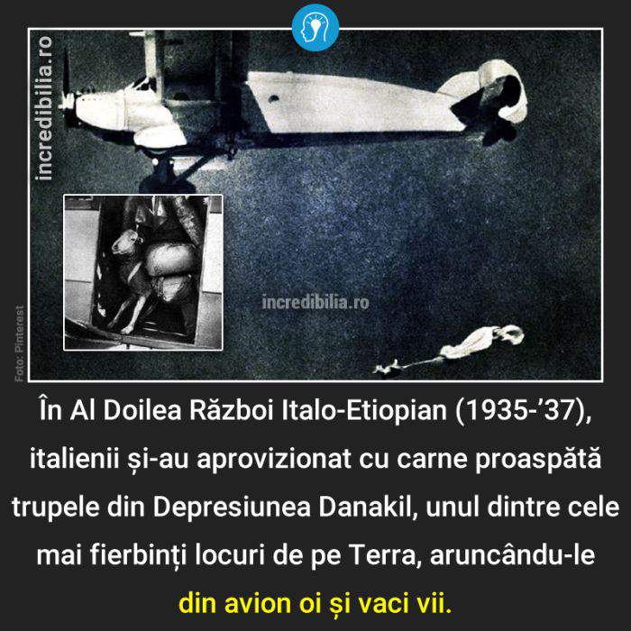 683. oi si vaci parasutate din avion_81_red