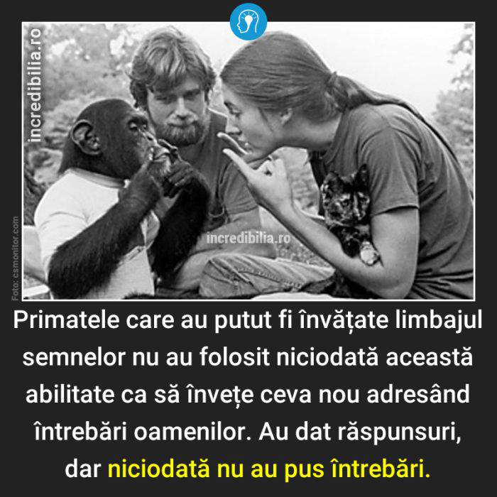 733. primate limbajul semnelor_129_red