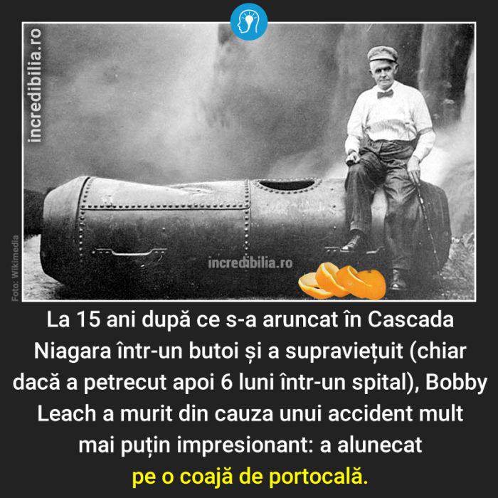 786. bobby leach cascada niagara ciaja de portocala_181_red