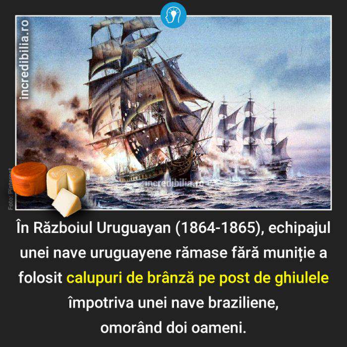 1054. razboiul uruguayan ghiulele din branza_54_red_compressed