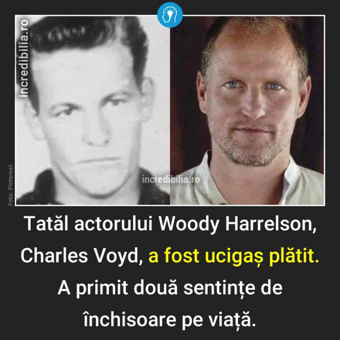 1068. tatal lui woody harrelson_68_red_compressed