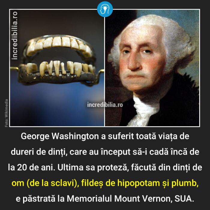 1126. dintii lui george washington_124_red_compressed