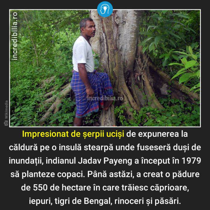 1218. jadav payeng padure india_18_red_compressed