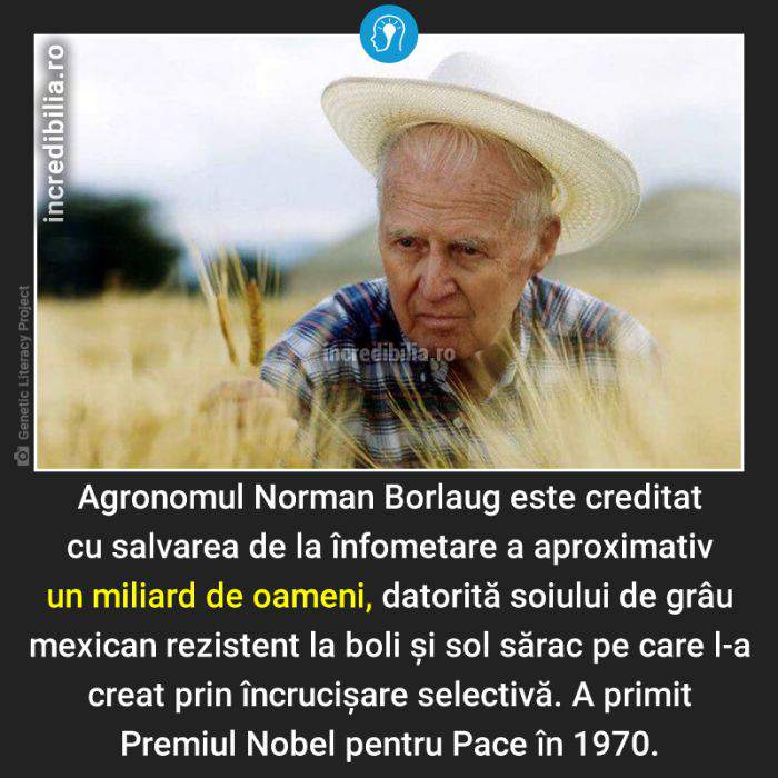 1386. norman borlaug_85_red_compressed