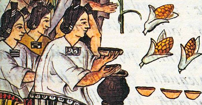 5 specii de plante si animale care exista datorita oamenilor