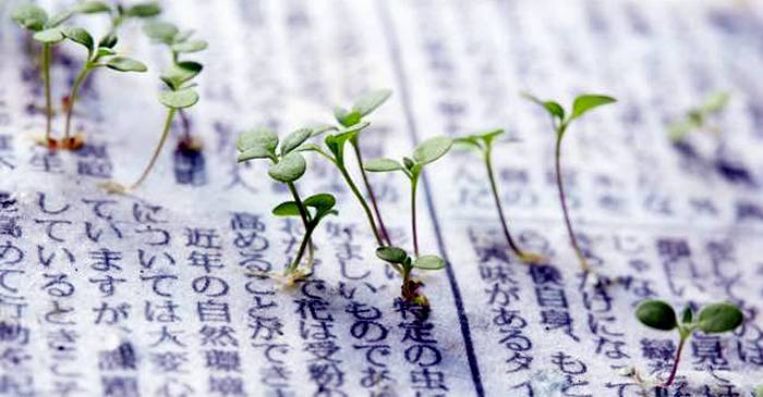 Ziarul Verde, cotidianul japonez din paginile căruia răsar plante