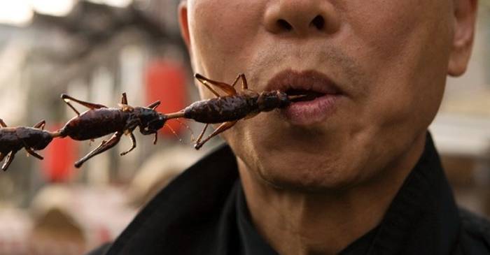 5 insecte comestibile promovate intens ca „alternative la carne”