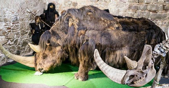 Cele mai neobișnuite descoperiri din adâncurile Mării Negre