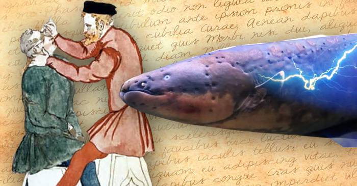 Scribonius Largus, medicul roman care folosea electricitatea ca tratamenT