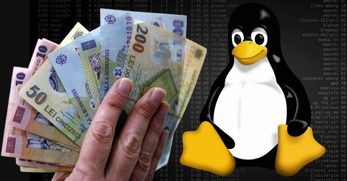 De ce atât de mulți profesioniști IT folosesc Linux_compressed