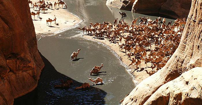 Guelta d'Archei, cea mai faimoasă lagună din deșertul Sahara_compressed