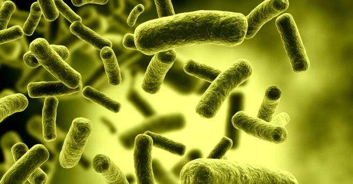 Un antibiotic vechi de câteva decenii ar putea fi un ucigaș feroce al bacteriilor