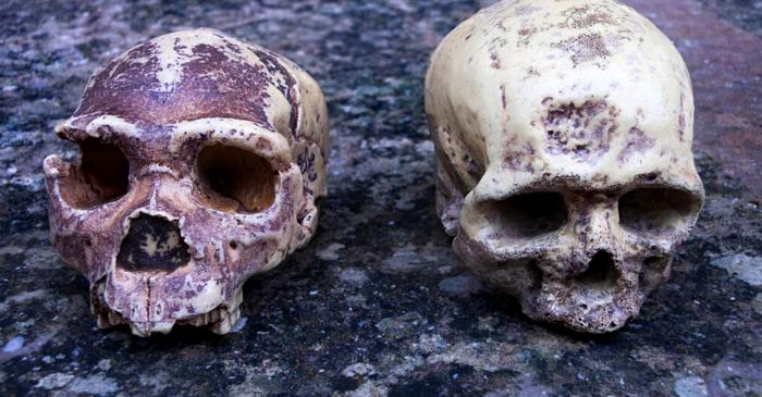 ADN-ul moștenit de la neanderthalieni încă influențează oamenii moderni