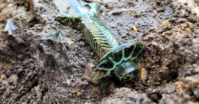 O sabie din Epoca Bronzului, găsită într-un mormânt din Germania, încă mai strălucește