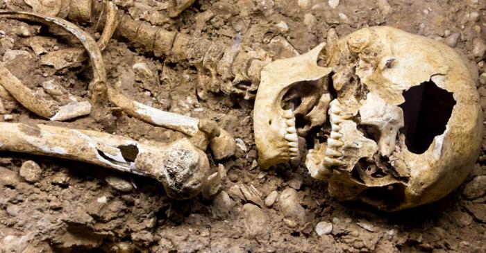 Un craniu de lup, depus de hoți într-un mormânt din Dobrogea pentru a se proteja de spiritul celui mort